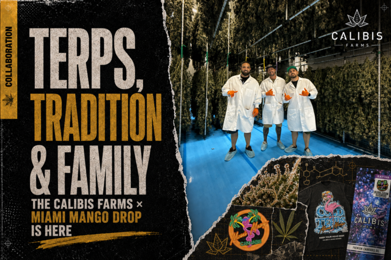 Terps, Tradition & Family: The Calibis Farms x Miami Mango Drop Is Here