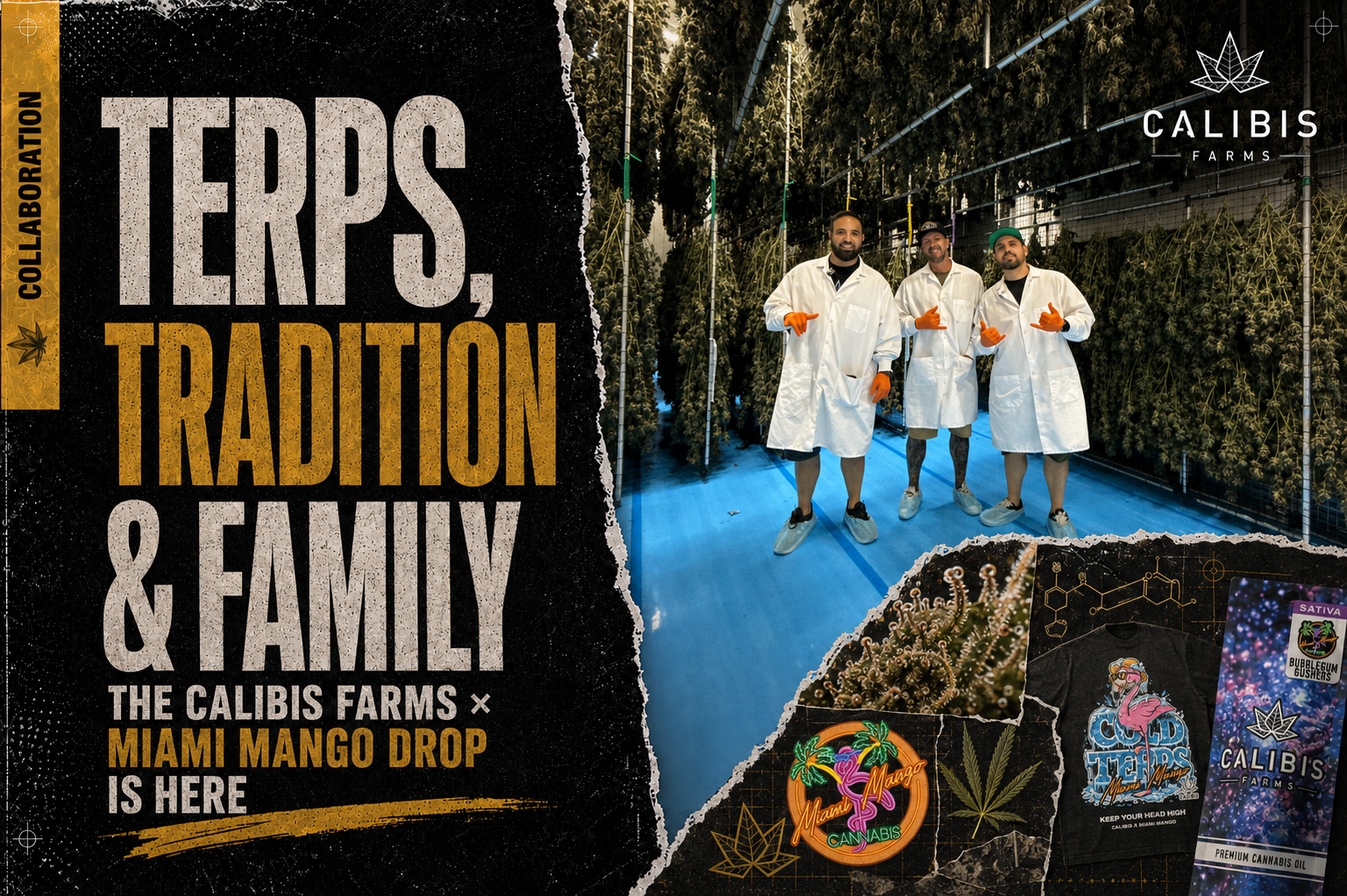 Calibis Farms and Miami Mango team announcing their California collaboration