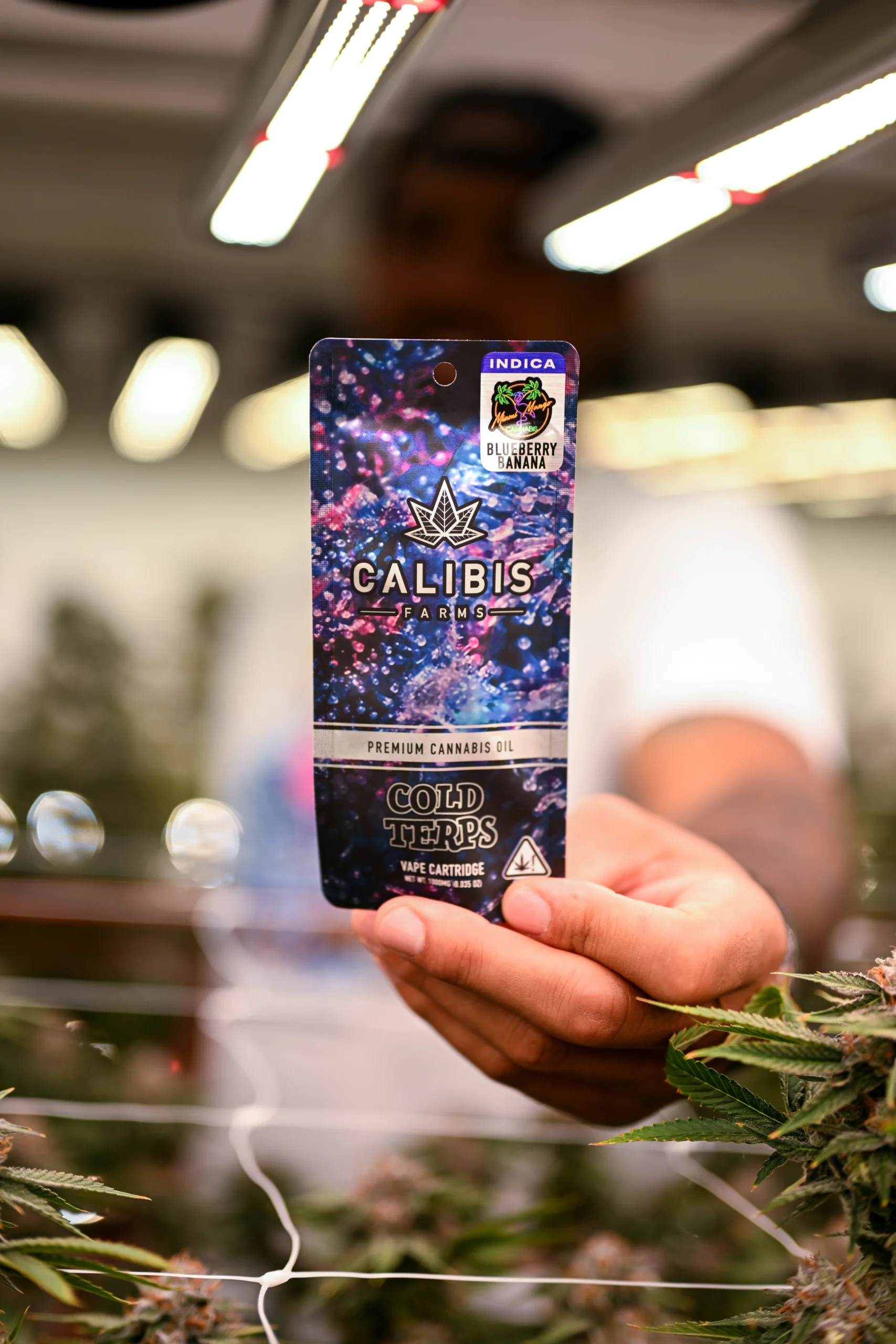 Terps, Tradition & Family: Inside the Calibis Farms x Miami Mango Collab