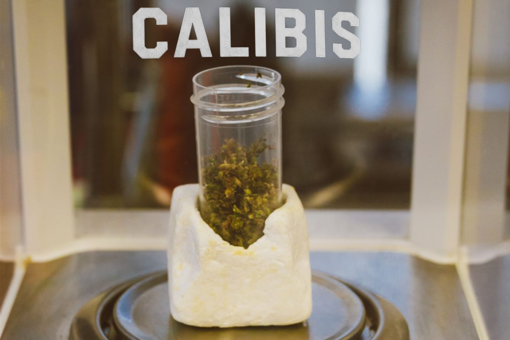 Cannabis material being prepared in a laboratory for terpene analysis and quality control