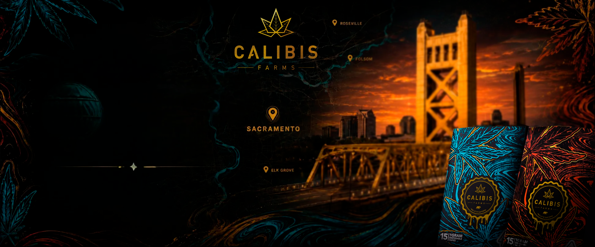 Calibis Farms sun-grown cannabis field in California